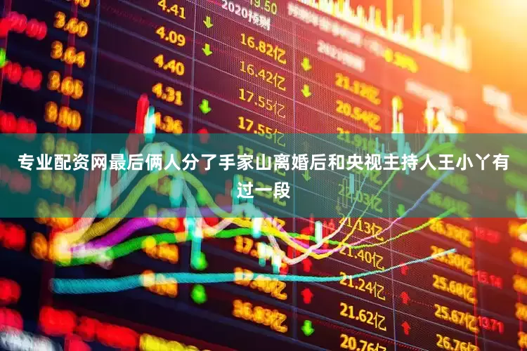 专业配资网最后俩人分了手家山离婚后和央视主持人王小丫有过一段